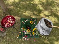 ein Bild aus dem Album