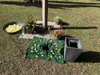 ein Bild aus dem Album