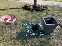 ein Bild aus dem Album