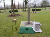 das zu meldende Bild